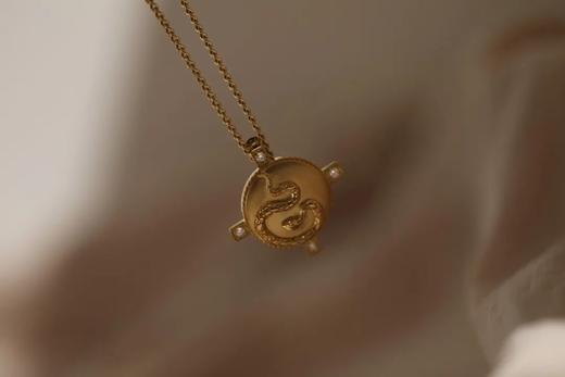 蛇本命年之复古灵蛇徽章 商品图7