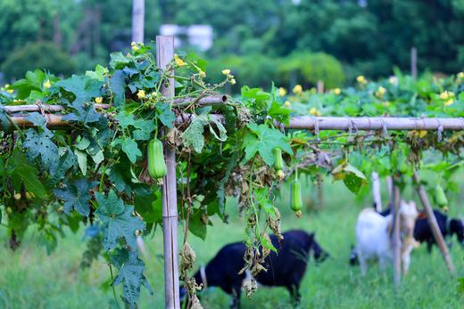 10月1-2日 单人 4大手工  玩转呱哩手工馆  超超超值体验券 商品图12