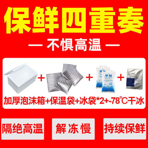 【火遍东北的铁锅炖大鹅来了】农家散养大白鹅 一年以上大鹅(约4-6斤/只) 去毛净膛去内脏 山东发货 顺丰/京东包邮{冷冻生鲜请及时签收} 商品图4
