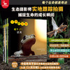 生命的故事（第五辑·全六册）昆虫科普百科 商品缩略图1