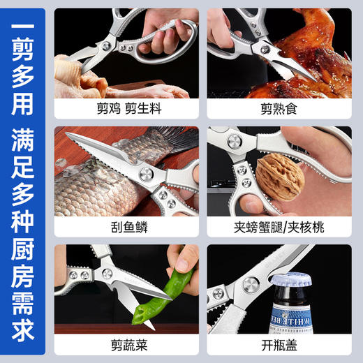 第六代多功能剪骨刀  一刀六用  A-2516 格瑞亚 商品图6