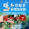 开始采摘！99元抢购原价140元鹭凯双人景区门票+草莓采摘券， 草莓可以采摘啦！摘果溜娃超好玩！团建好去处！ 商品缩略图0