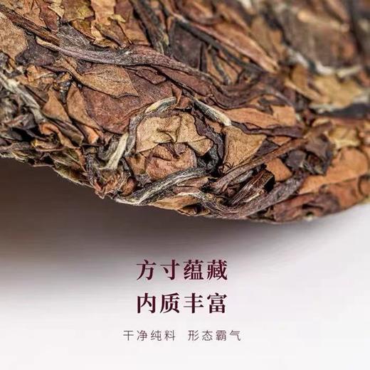 福鼎白茶 | 东南多奇2021年寿眉 ·益寿源100g/饼 商品图2