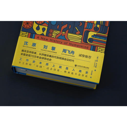 现货 理解工作：一部人类劳动史 〔荷〕扬 · 卢卡森  著 方寸·新知课036 刘擎 沈原 周飞舟推荐 经济学人推荐图书 毫无意义的工作 商品图3