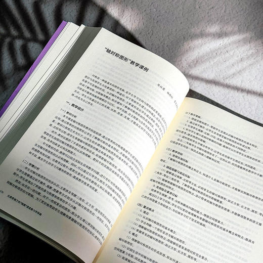 大美育观下的“润雅”课堂教与学体验 赵兴萍 杨孝斌 令狐昌桂 商品图12