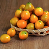 【分仓直发包邮】脆蜜金柑小果（冻伤不售后）1.5斤（小果） 商品缩略图2