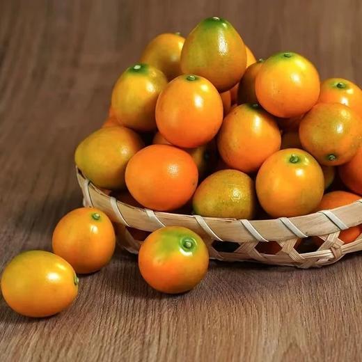 【分仓直发包邮】脆蜜金柑小果（冻伤不售后）1.5斤（小果） 商品图2