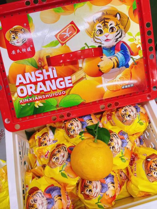 小箱安氏虎头丑橘一箱 商品图0