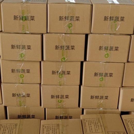 【洪湖头茬莲藕】9孔粉藕+清甜脆藕｜国家地理标志｜人工精选中段｜不泡药｜炖汤粉糯｜生吃脆甜 商品图6