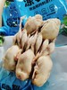 冻鹌鹑一袋 商品缩略图2