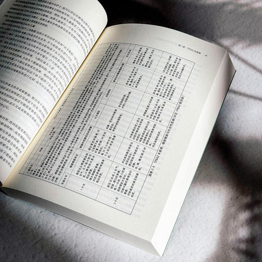 以游戏为基础的多领域融合评估与干预实施指南 儿童早期干预 商品图10