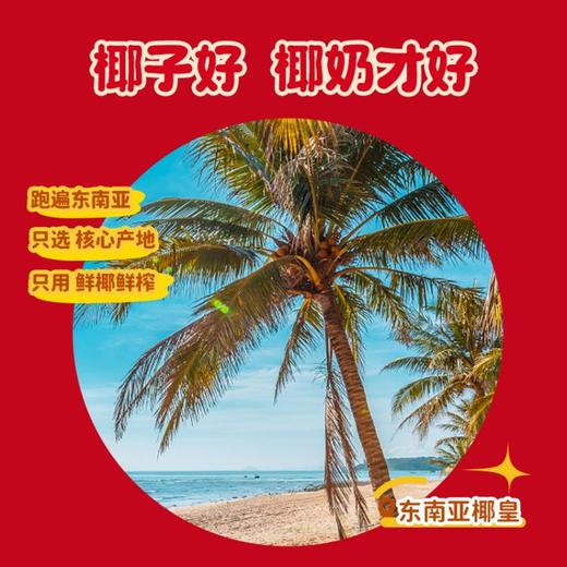 【印尼进口香椰 还原鲜打椰味 清爽解辣解腻】可可满分 无糖椰乳满分大吉年货礼盒 小喜椰- 200ml*16瓶 大吉椰-1L*3瓶 商品图10