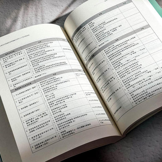 以游戏为基础的多领域融合评估与干预实施指南 儿童早期干预 商品图14