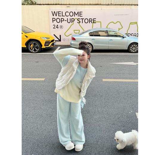 2024新品  蕾蕾同款【叠穿主义】纯色立领短款羽绒工字马甲背心外套 商品图0