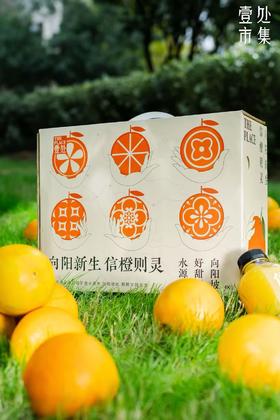 【预售】壹处市集 信橙礼盒8斤装
