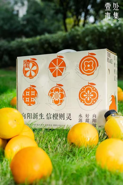 【预售】壹处市集 信橙礼盒8斤装 商品图0