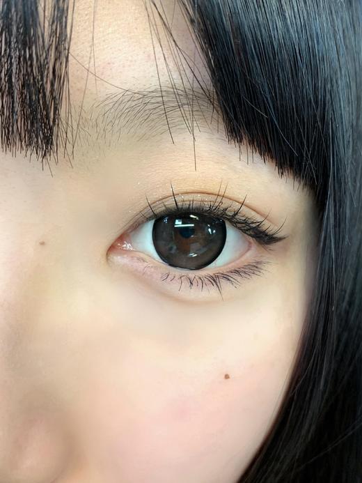 Deekay半年抛新品 · G336&G337｜14.5mm白狮参考着色大直径｜韩国半年抛 【同品牌多幅找客服改价】 商品图3