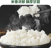 时令堂 有机长粒香米5kg袋装 商品缩略图5