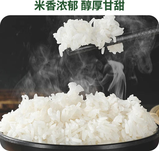 时令堂 有机长粒香米5kg袋装 商品图5