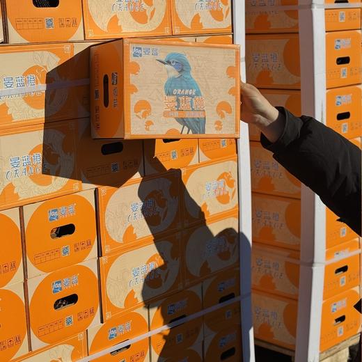 晏蓝橙～赣南脐橙【净重约8斤】 商品图4