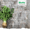 Biotta 生机西芹汁 | 500m/瓶 丰富膳食纤维 物理渣汁分离 瑞士进口 自然农法耕种 商品缩略图3