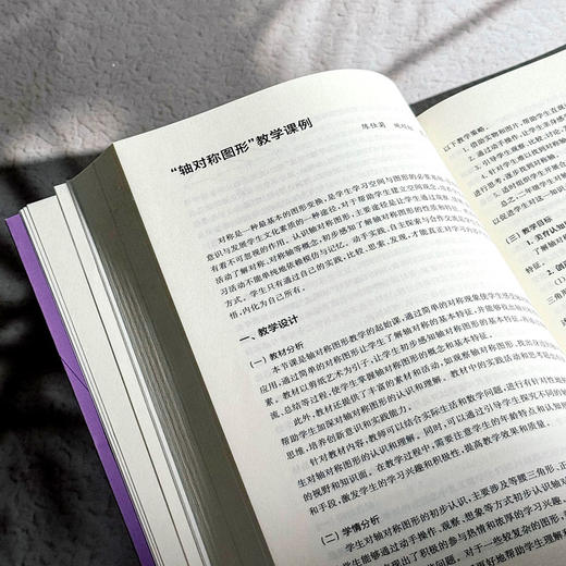 大美育观下的“润雅”课堂教与学体验 赵兴萍 杨孝斌 令狐昌桂 商品图13