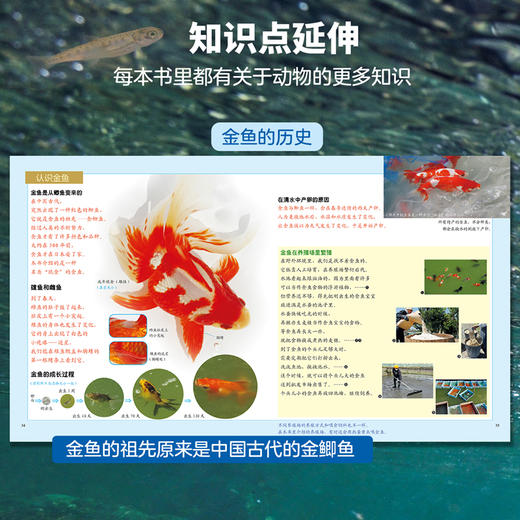 生命的故事（第五辑·全六册）昆虫科普百科 商品图8