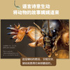 生命的故事（第五辑·全六册）昆虫科普百科 商品缩略图6