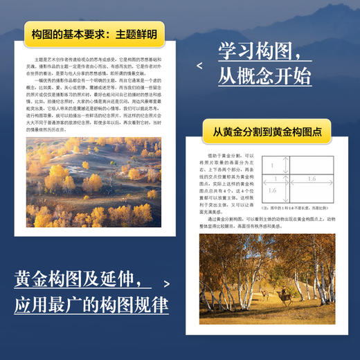 摄影构图核心技法 摄影书籍入门摄影构图拍摄技巧教程数码单反摄影构图教程手机摄影入门旅行风光人像摄影书籍 商品图2