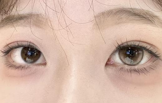 Deekay半年抛新品 · G341&G342&G343｜14.5mm白狮参考着色大直径 | 韩国半年抛 商品图3