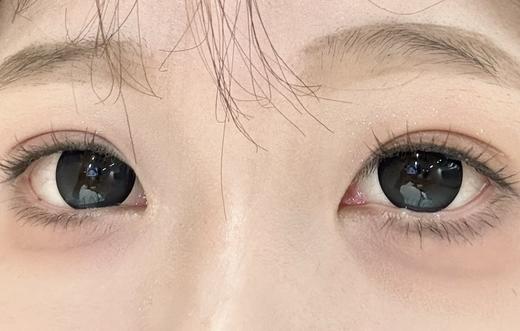 [领优惠券下单-20]Deekay半年抛--G337 商品图11