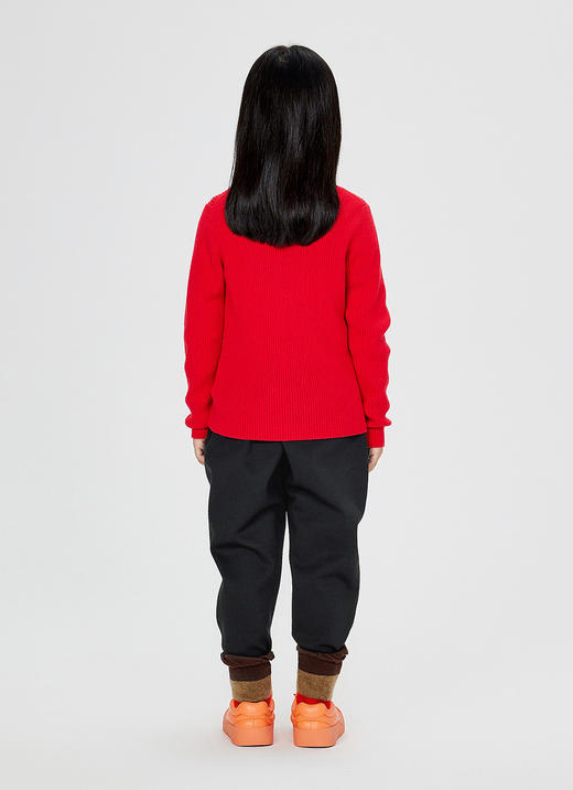 jnby   24年冬款  长袖套头羊绒衫  1OA312940 商品图8