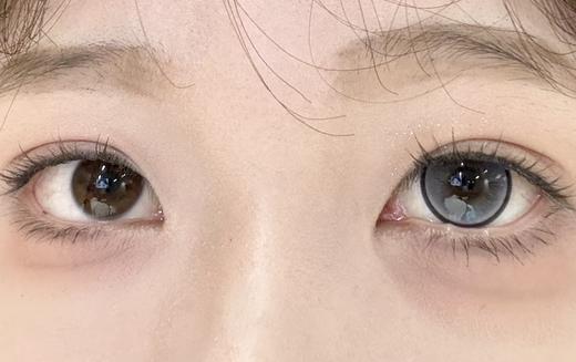 Deekay半年抛新品 · G344&G345｜14.5mm白狮参考着色大直径 | 韩国半年抛 商品图2