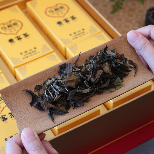 压箱底贵客茶 老树白茶 10年陈寿眉 福鼎老白茶茶叶 礼盒装 120克/24泡 商品图4