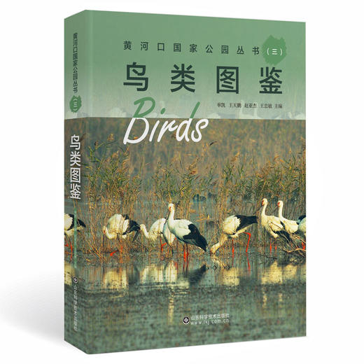 黄河口国家公园丛书（三）鸟类图鉴 商品图0