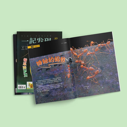 《一起发现昆虫》12期征订 商品图1