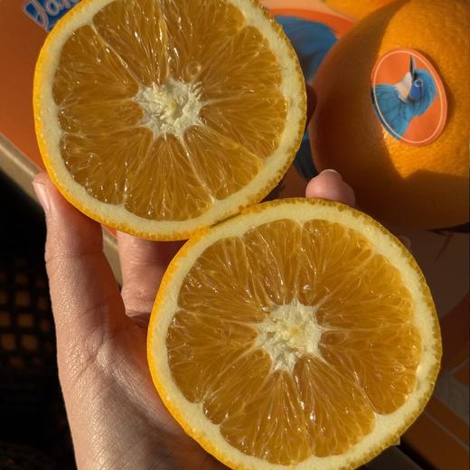 晏蓝橙～赣南脐橙【净重约8斤】 商品图2