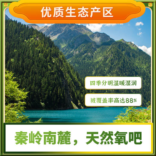 柞水县 香菇500g柞水干香菇干菌子肉厚无根蘑菇食堂采购 商品图1