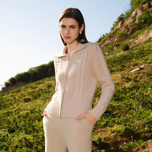 【大翻领绞花羊绒开衫】羊绒世家秋冬新品100%山羊绒粗棒针绞花毛衣外套 商品图0