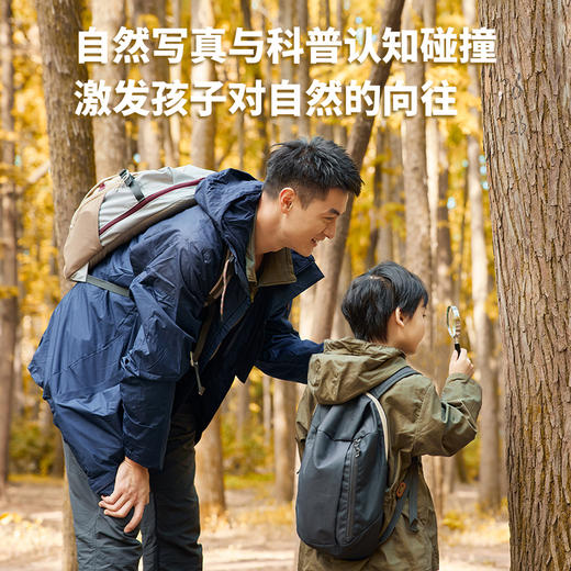 生命的故事（第五辑·全六册）昆虫科普百科 商品图10