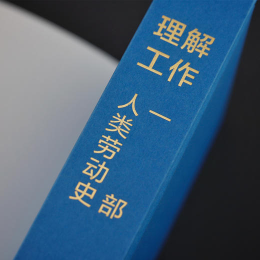 现货 理解工作：一部人类劳动史 〔荷〕扬 · 卢卡森  著 方寸·新知课036 刘擎 沈原 周飞舟推荐 经济学人推荐图书 毫无意义的工作 商品图6