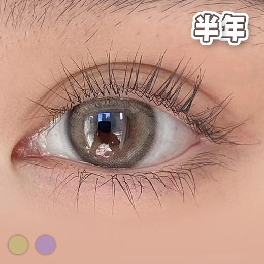 #Derise 早安晚安 棕/紫 14.2mm【1片装】舒适推荐 / 半年抛 商品图4