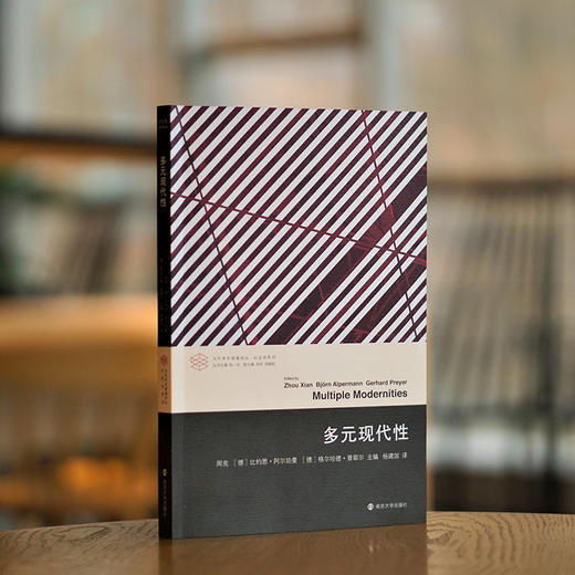 多元现代性//当代学术棱镜译丛·社会学系列 商品图1