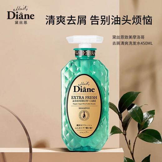 黛丝恩 致美摩洛哥油去屑清爽洗发水 450ml/瓶 商品图2
