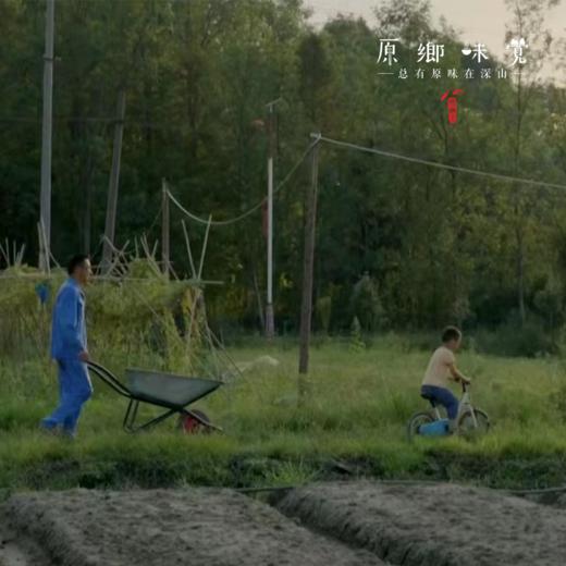 原乡农场“一米菜园”认养招募【约10㎡】 | 位于成都市郫都区园艺村，离主城区约1小时车程，有机农场水土干净，超长免租期 商品图5