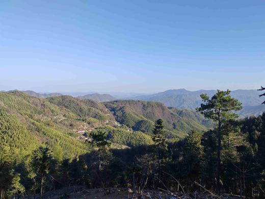 有机黑山羊｜满150元包邮｜周五发 商品图7