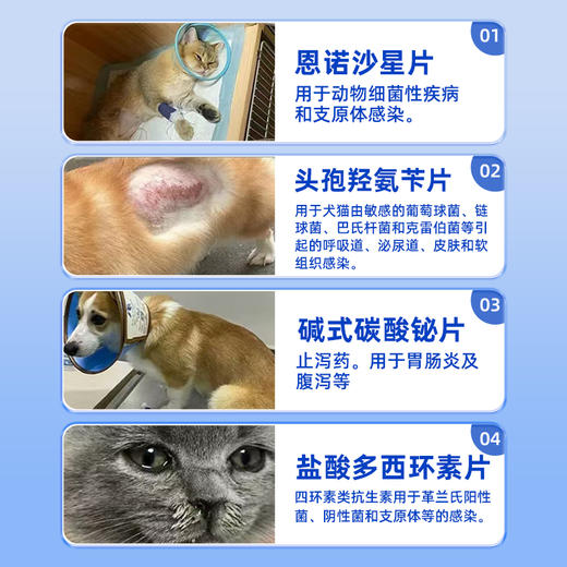 菲内仕 盐酸多西环素片\恩诺沙星\碱式碳酸泌片\头孢 宠物药品 商品图3
