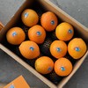 晏蓝橙～赣南脐橙【净重约8斤】 商品缩略图6