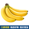 【鲜泽园】云南新鲜香蕉 泡沫箱包装 商品缩略图0