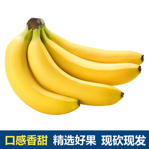 【鲜泽园】云南新鲜香蕉 泡沫箱包装 商品图0